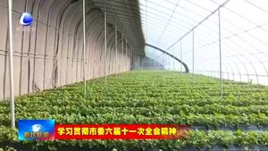 香河縣大力發(fā)展現代農業(yè) 提升農業(yè)生產效益