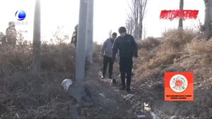 路遇車(chē)禍見(jiàn)義勇為 愛(ài)心溫暖無(wú)助傷者