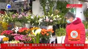 春節(jié)將至年宵花俏銷(xiāo) 花卉市場(chǎng)迎來(lái)銷(xiāo)售旺季