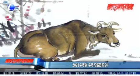 2021牛年到 牛年習(xí)俗知多少？