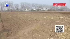 讓“摞荒”土地活起來  助農(nóng)民增收