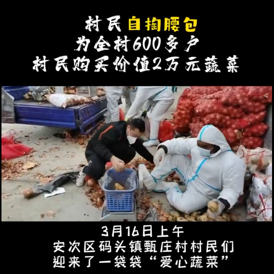 村民自掏腰包為全村600多戶村民 購(gòu)買價(jià)值2萬(wàn)元蔬菜