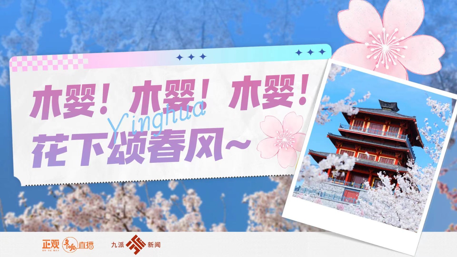 木嬰！木嬰！木嬰！花下頌春風(fēng)~