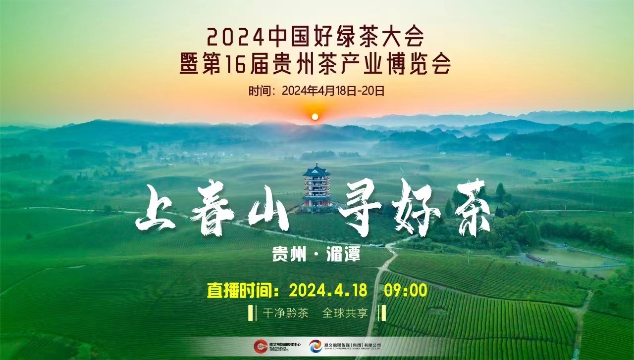 “上春山 采春茶”2024來遵義湄潭，一起采春茶