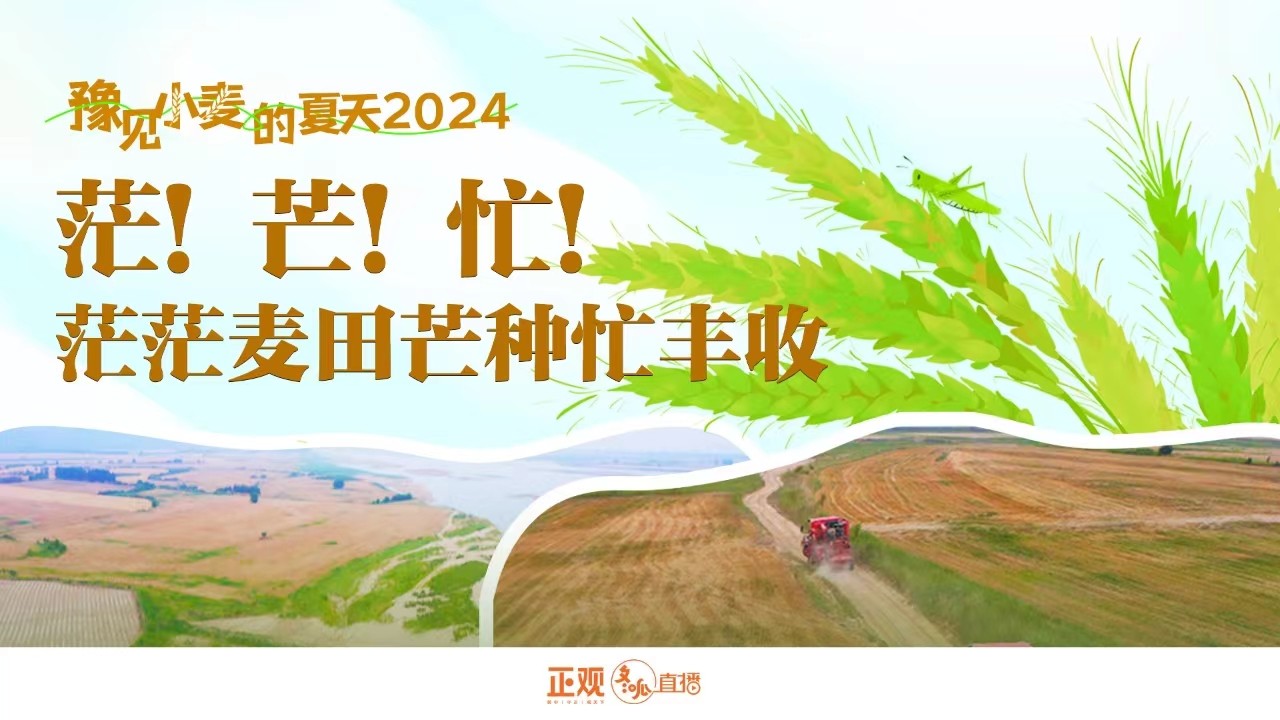 豫見小麥的夏天2024 | 茫！芒！忙！茫茫麥田芒種忙豐收！