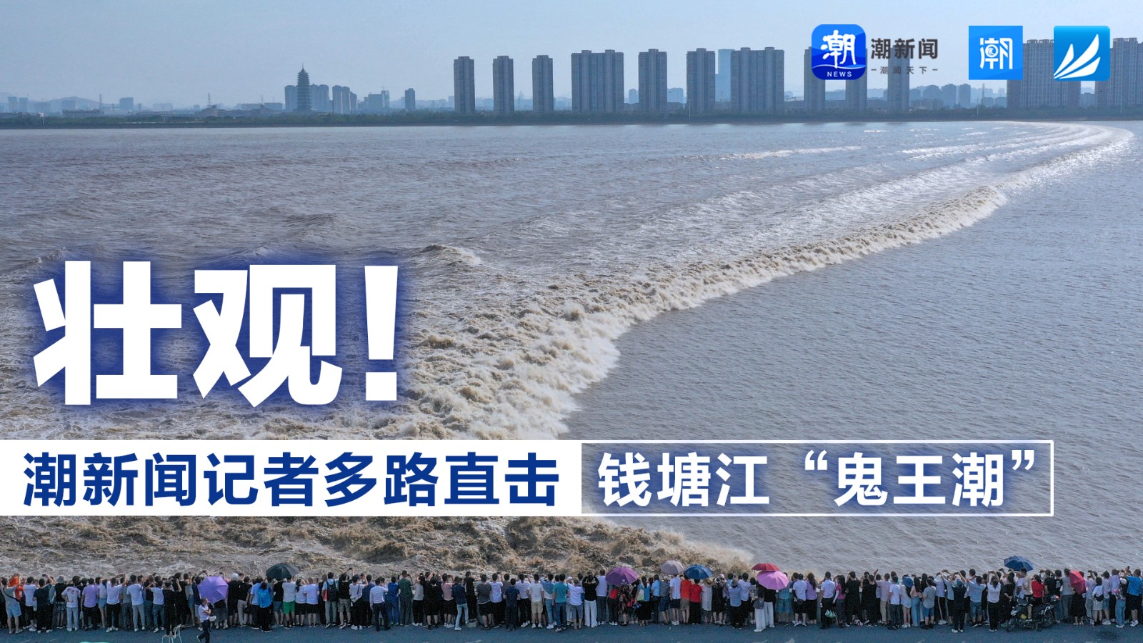 壯觀！潮新聞?dòng)浾叨嗦分睋翦X塘江“鬼王潮”