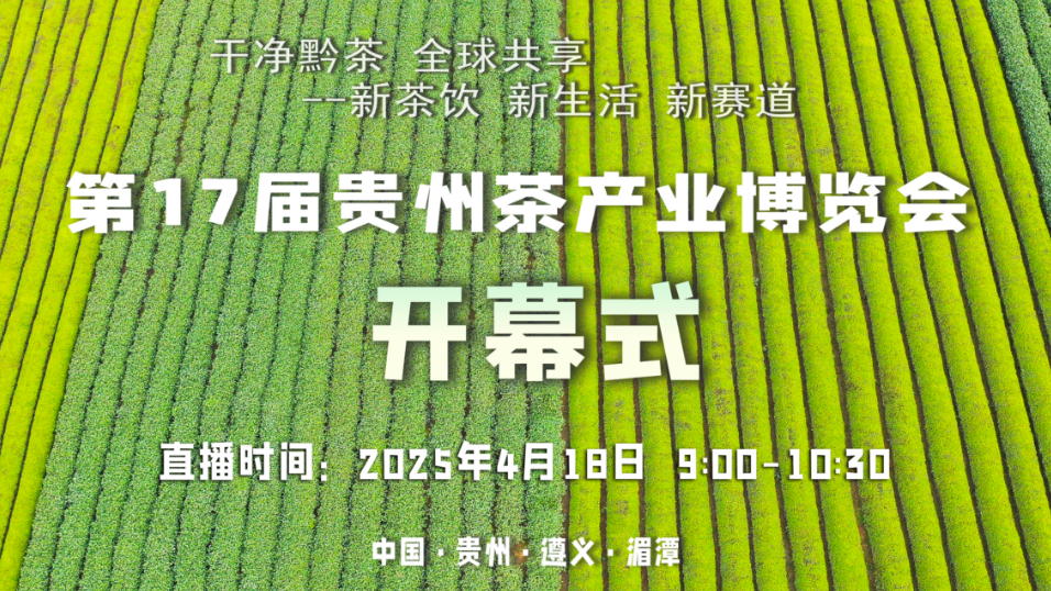 干凈黔茶 全球共享丨第17屆貴州茶產(chǎn)業(yè)博覽會(huì)開(kāi)幕式
