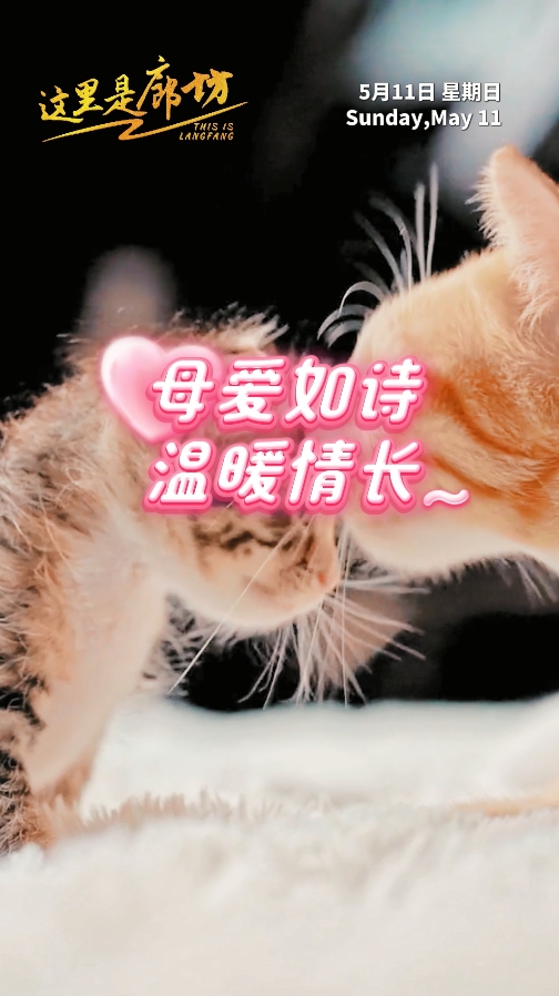 【這里是廊坊】母愛(ài)如詩(shī) 溫暖情長(zhǎng)~