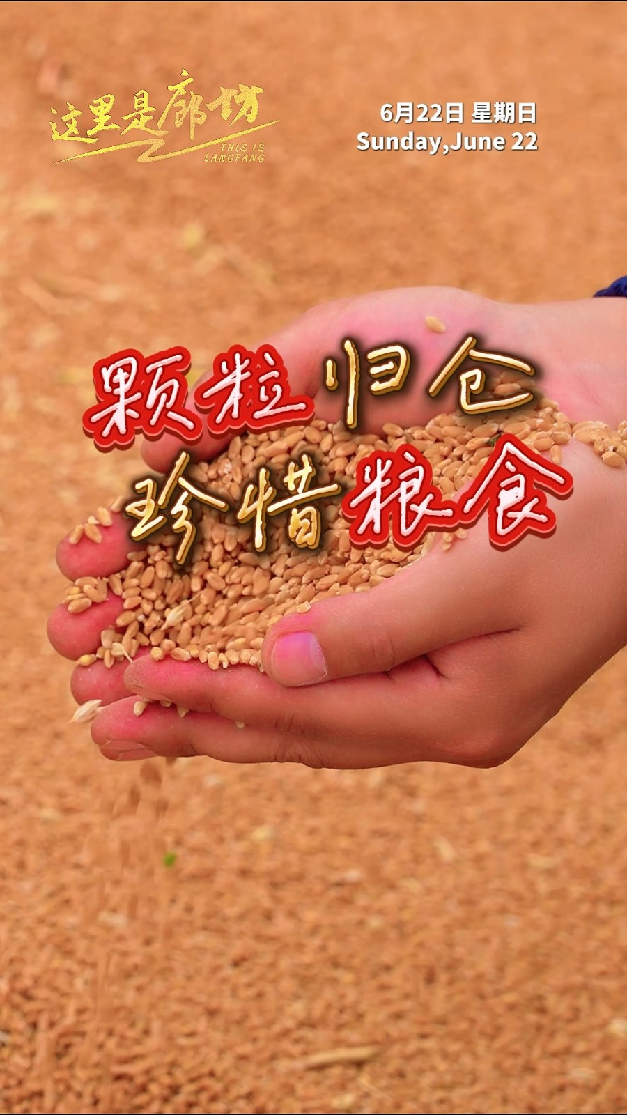 【這里是廊坊】顆粒歸倉(cāng) 珍惜糧食