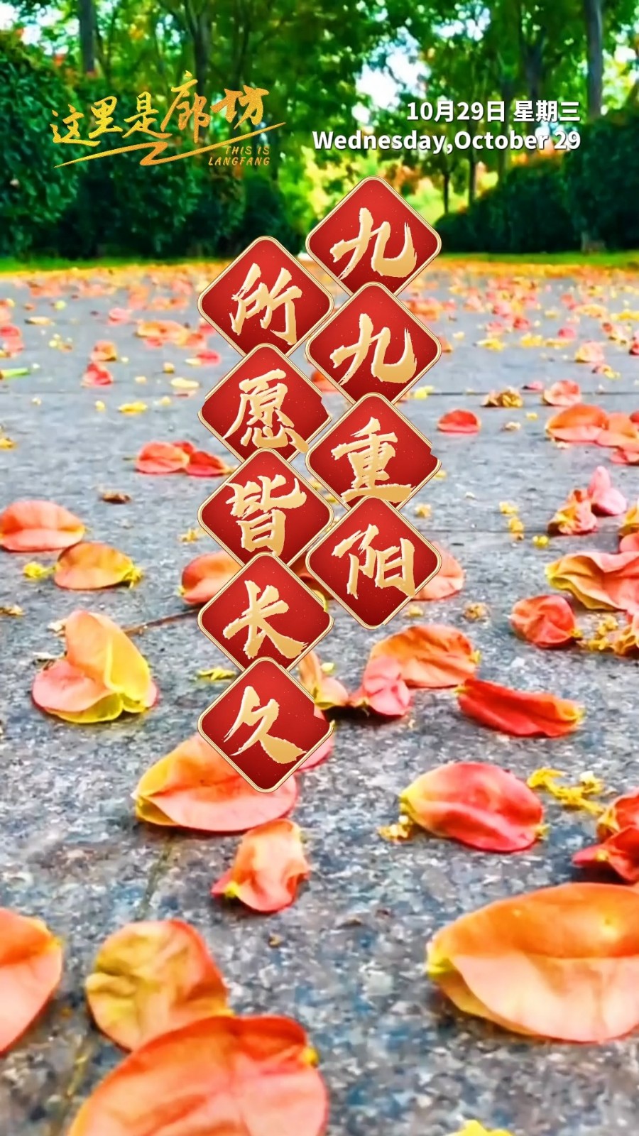 【這里是廊坊】九九重陽 所愿皆長(zhǎng)久
